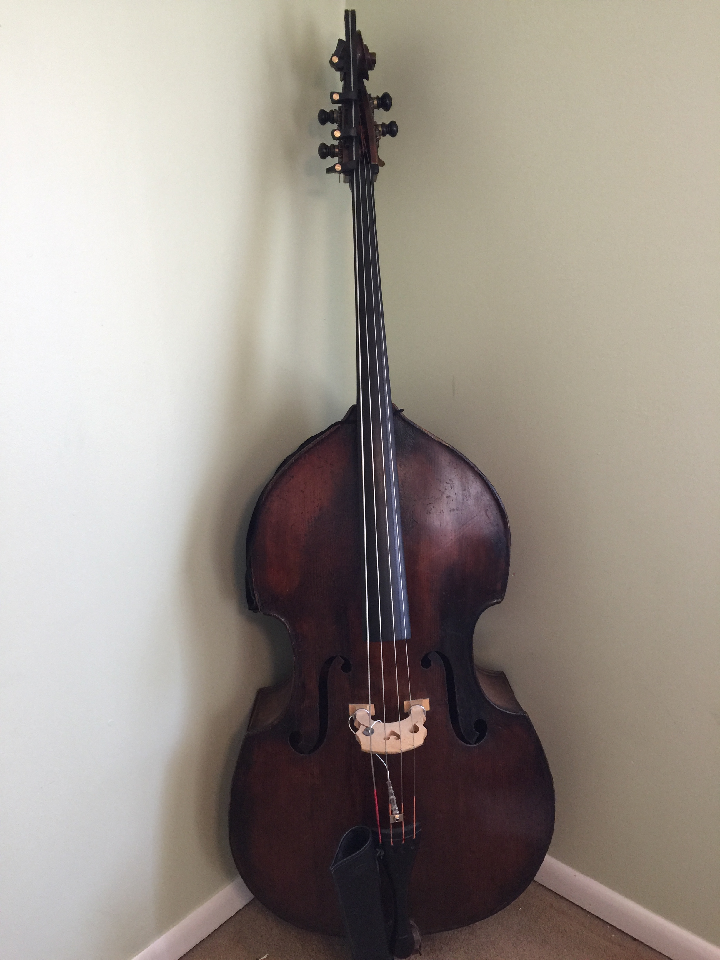 Gear – Sam Dingle Bass